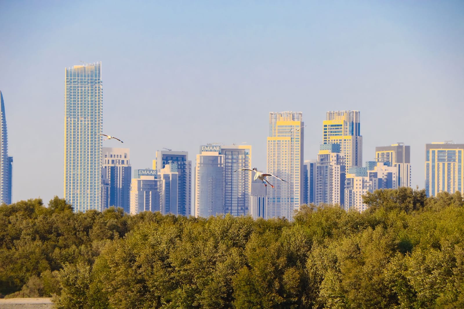 Damac Lagoons (Дубай): виллы и таунхаусы, цены 2026
